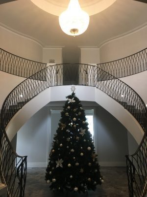 Beautiful House Painting