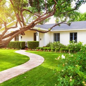 garden design experts sydney north shore