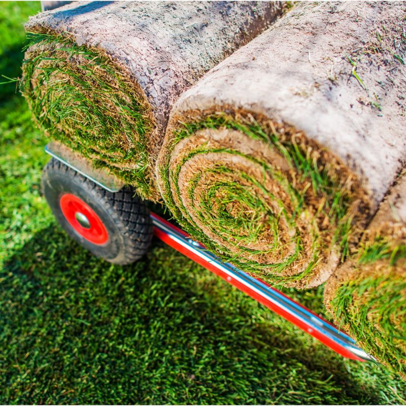 Turfing services sydney north shore