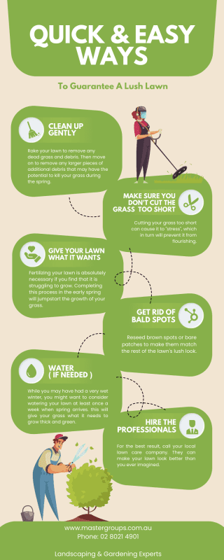 Quick and Easy Lawn Care Tips Infographic