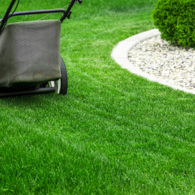 Turf installation near me