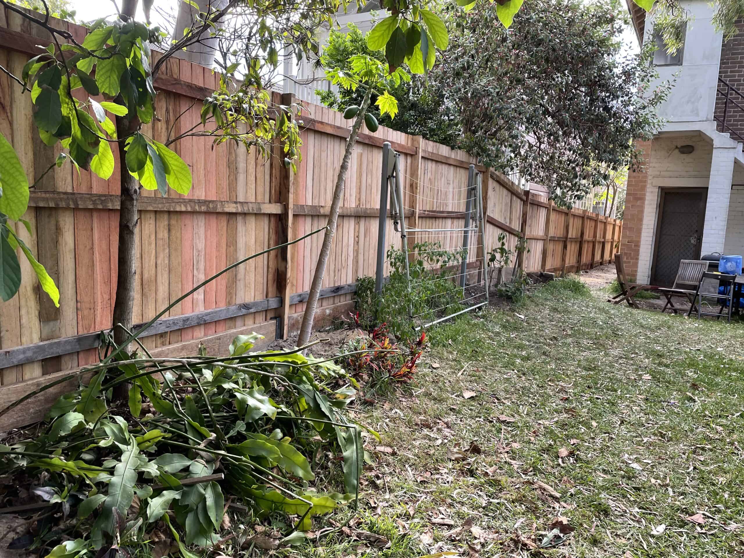 Premium Spotted Gum hardwood picket fence in front of a Federation home in Pymble.