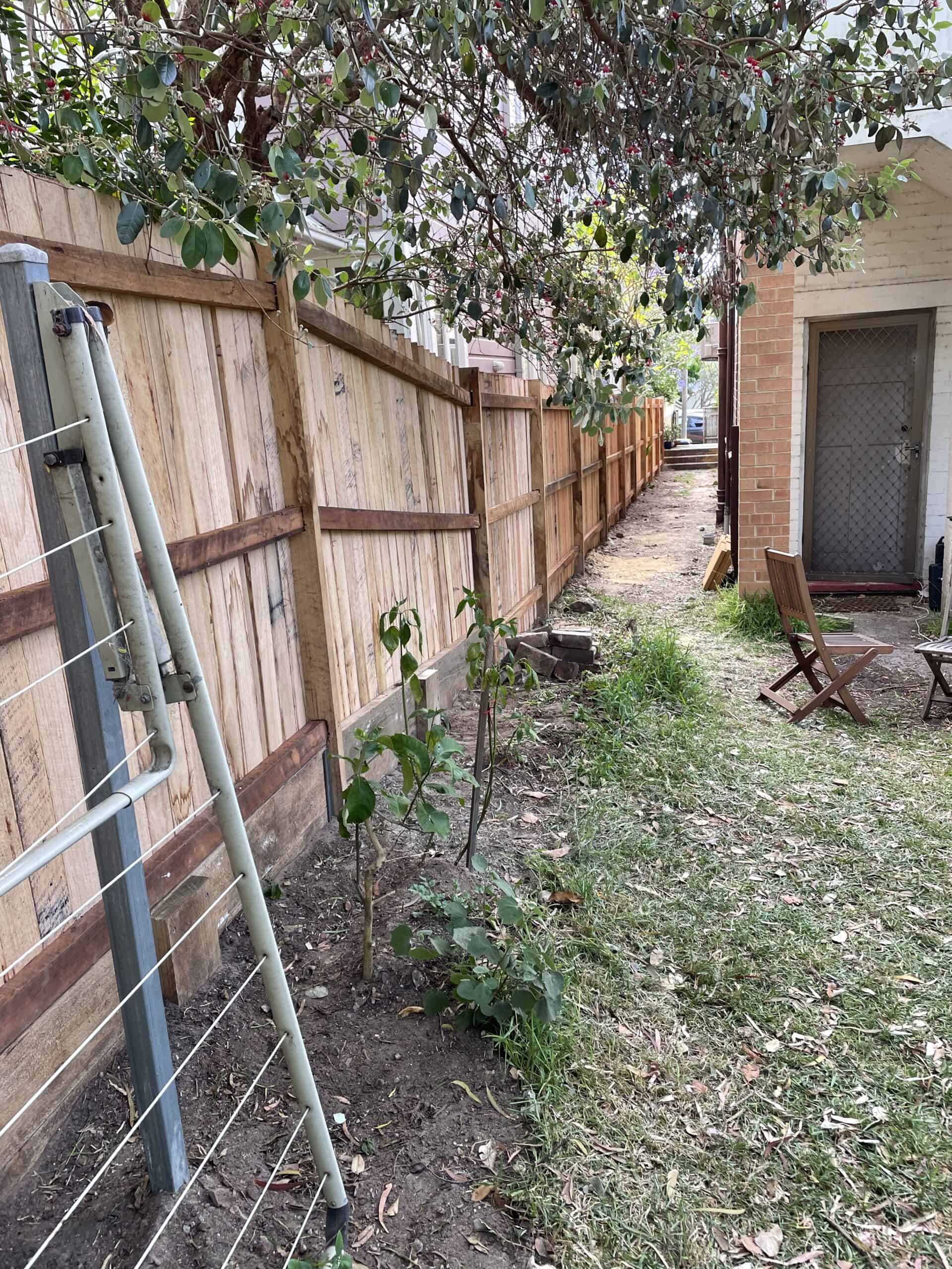 Completed Merbau hardwood paling fence installation with clean lines and strong posts.